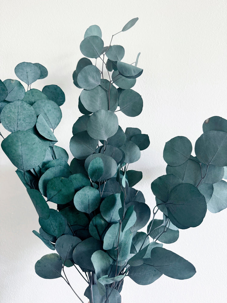 Winter Greens