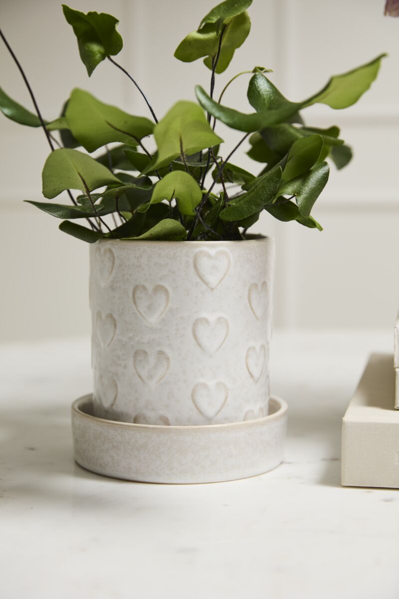 Heartfelt Pot with Saucer