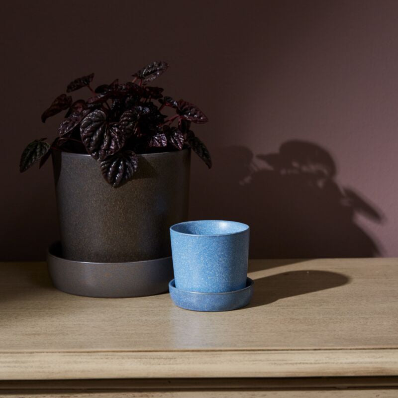 Watson Pot