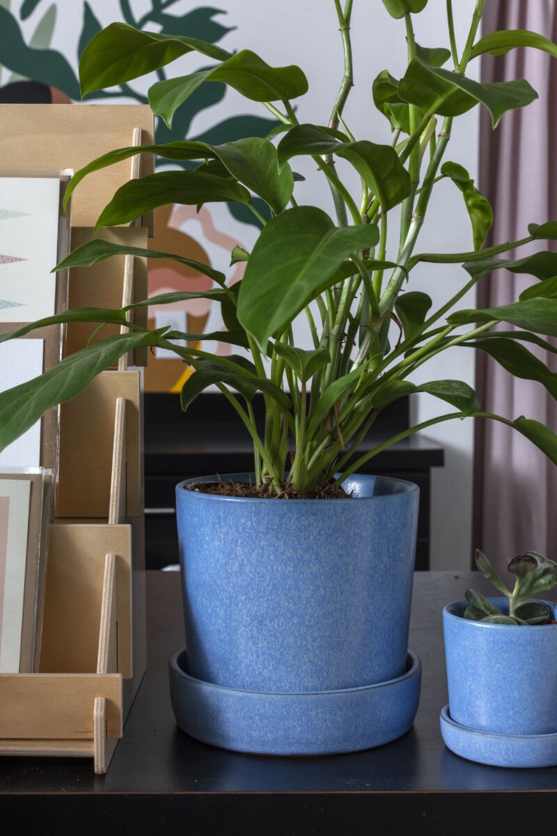 Watson Pot