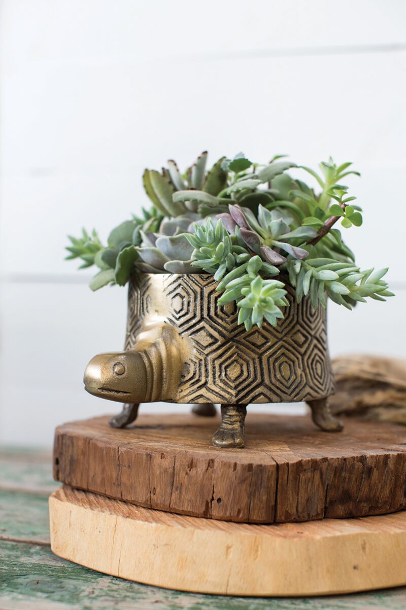 Brass Turtle Planter