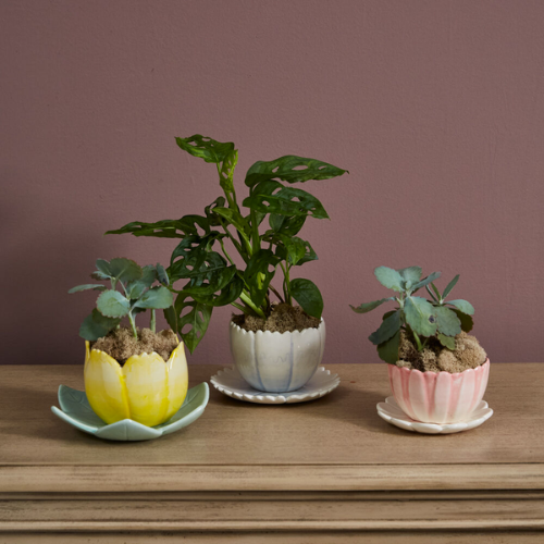 Little Flower Pot