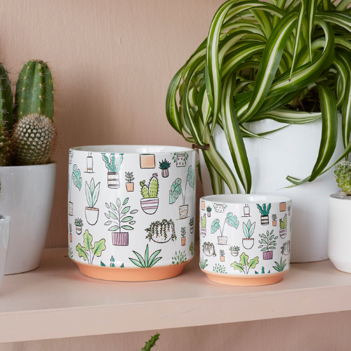Plant Icon Pot
