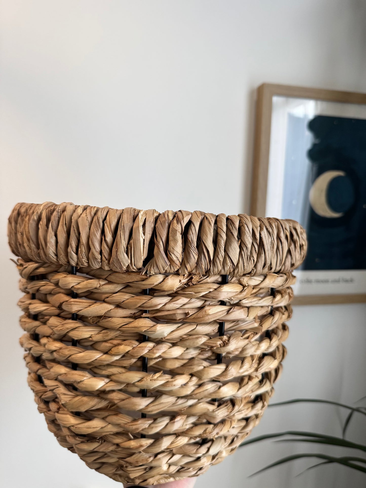 Decorative Hand Woven Basket with Plastic Liner
