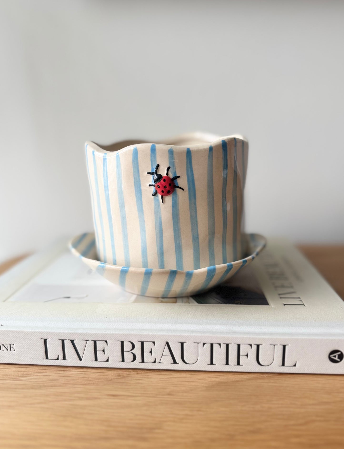 Ladybug Pot with Saucer