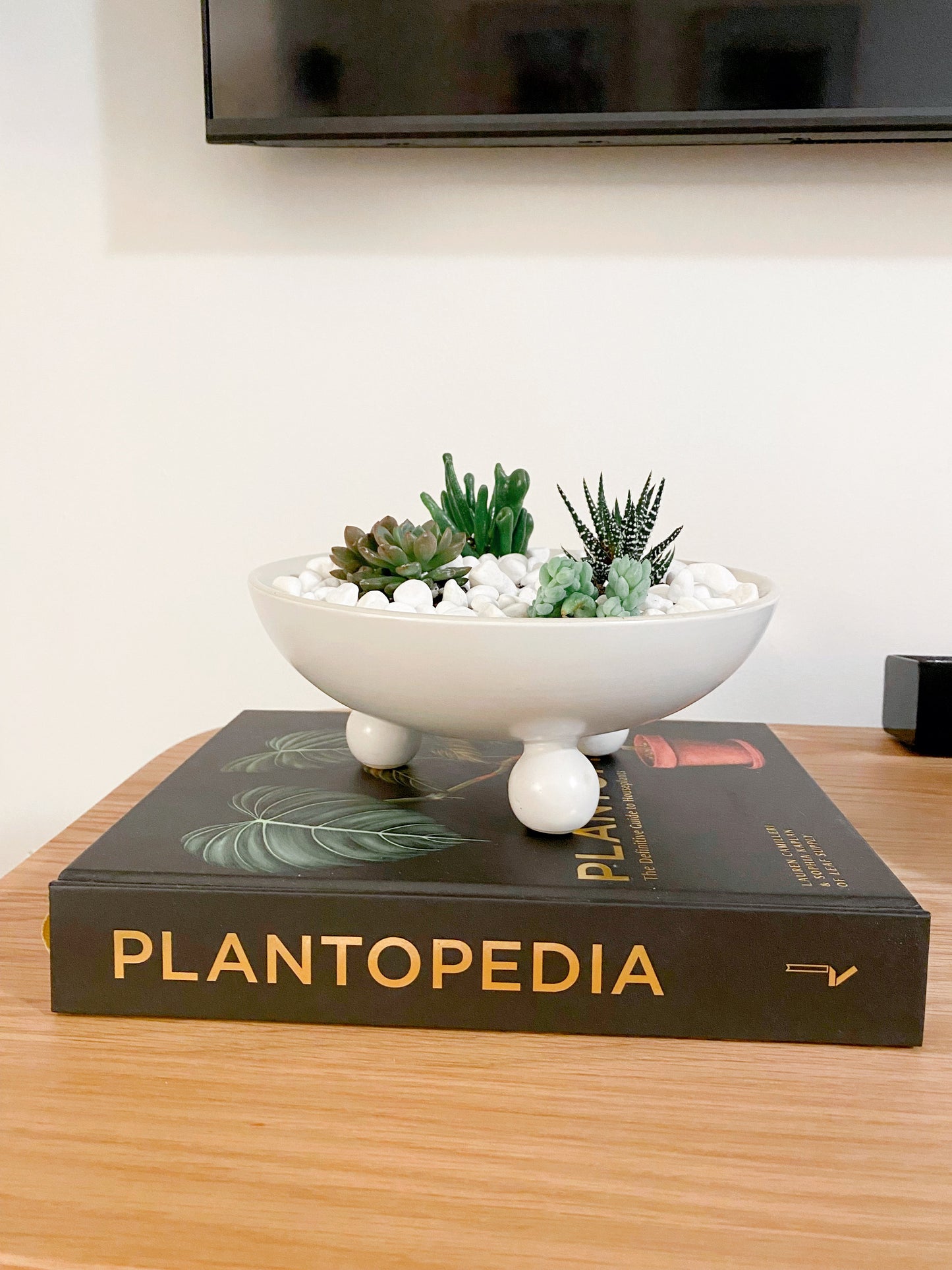 Succulents in Farley Bowl