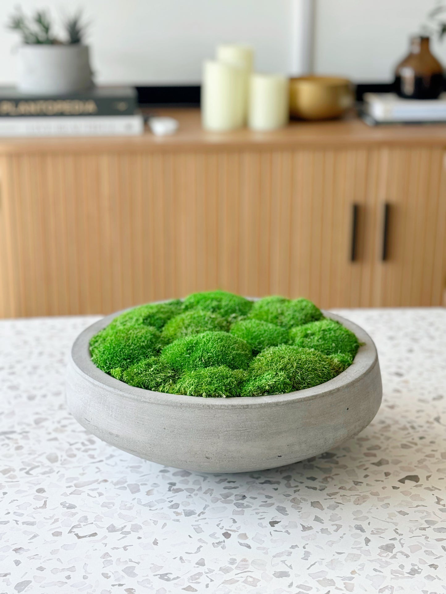 Preserved Moss in Concrete Bowl | Moss Bowl Centrepiece