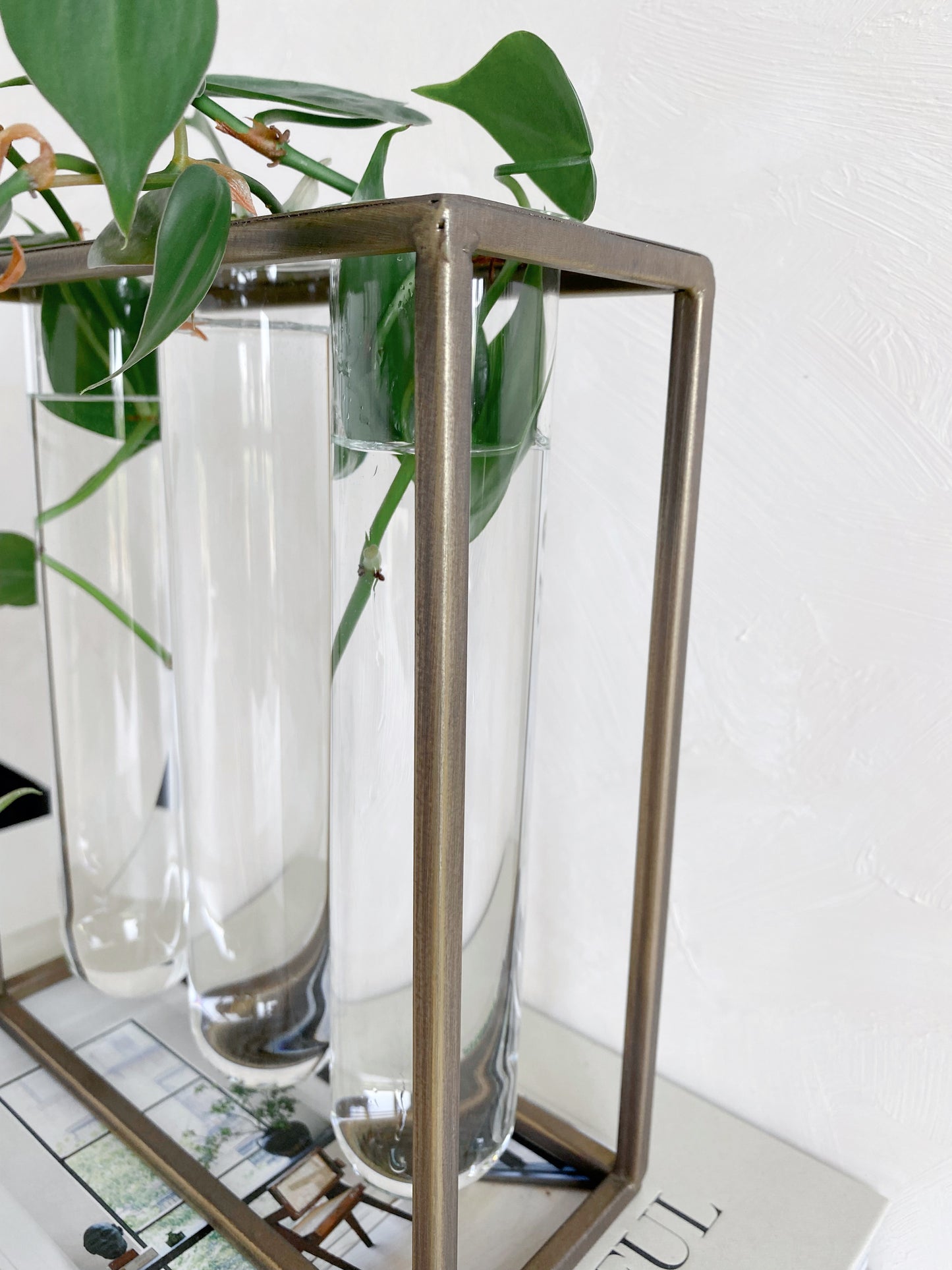 Tube Vase with Gold Rack | Large Propagation Station