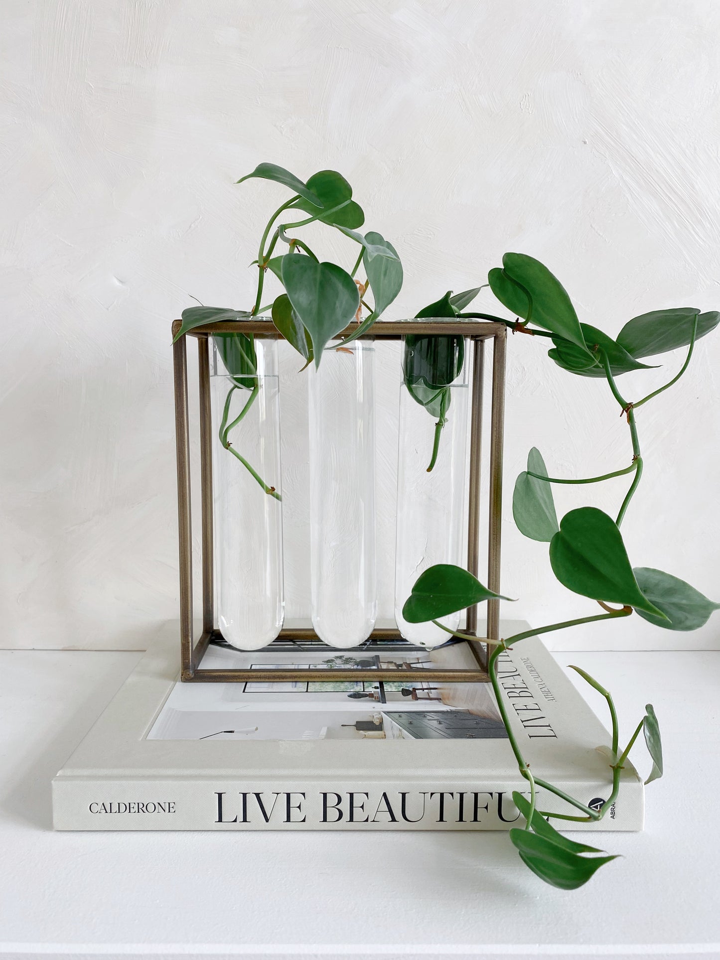 Tube Vase with Gold Rack | Large Propagation Station