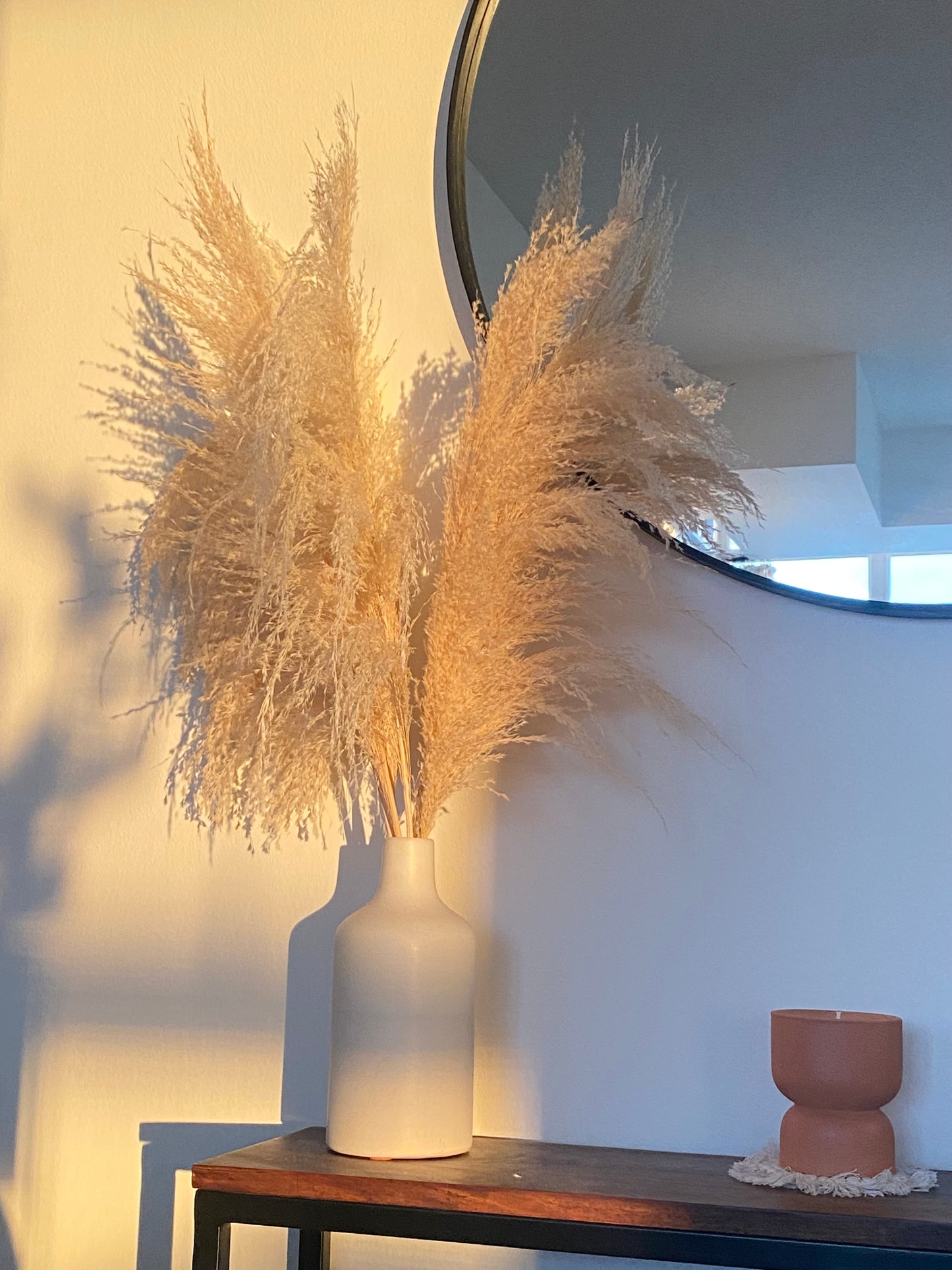 Amazon Pampas Grass (3 or 6 Stem Bundles)