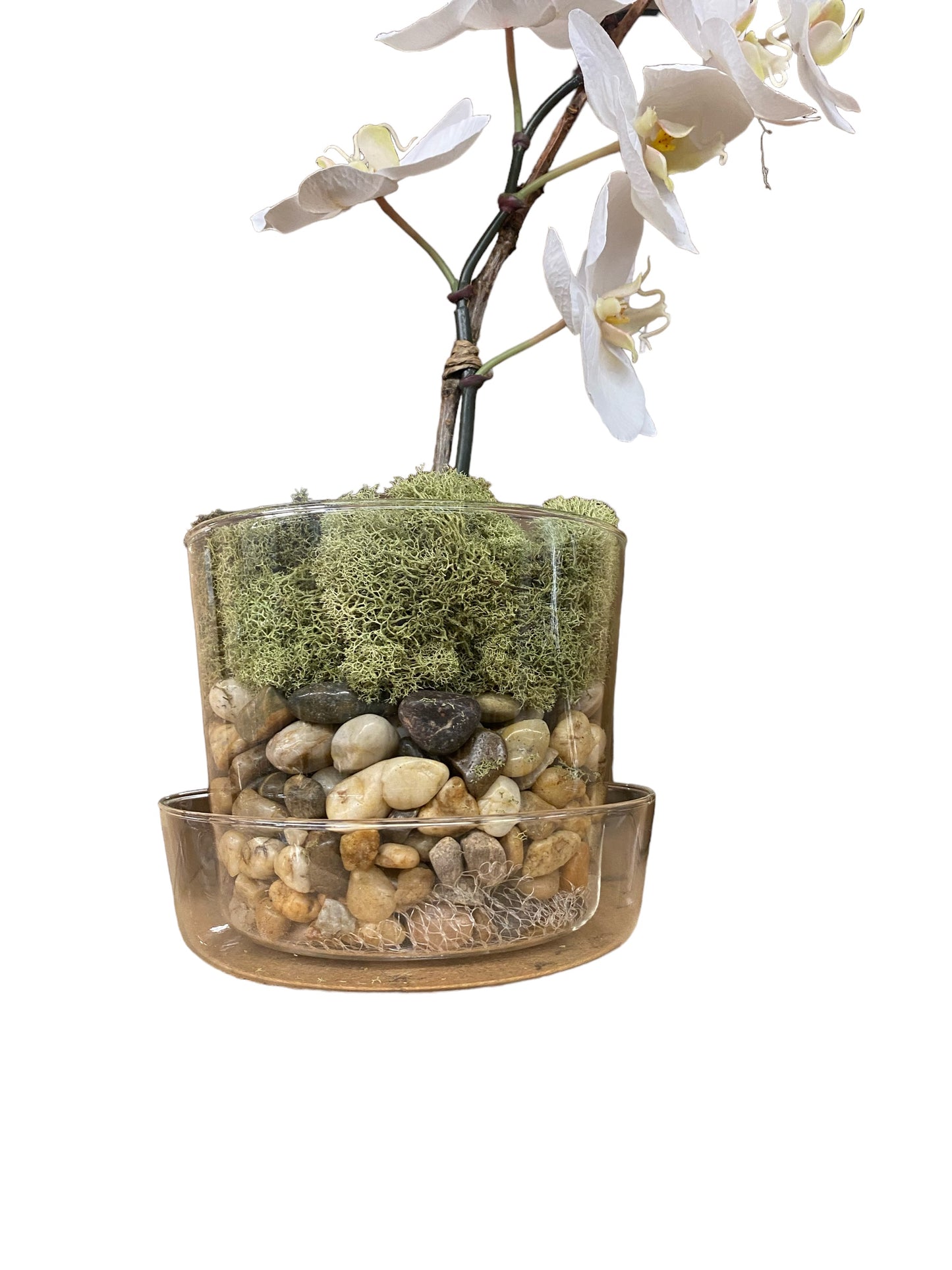 Glass Pot with Saucer