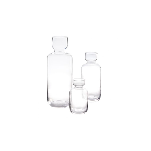 Insight Vase Hydroponic