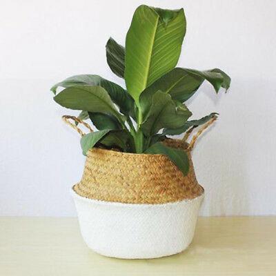 Seagrass Austin Basket Planter