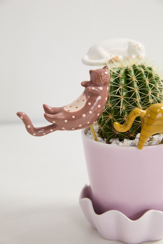 Curious Cats Plant Sticks - Set of 3