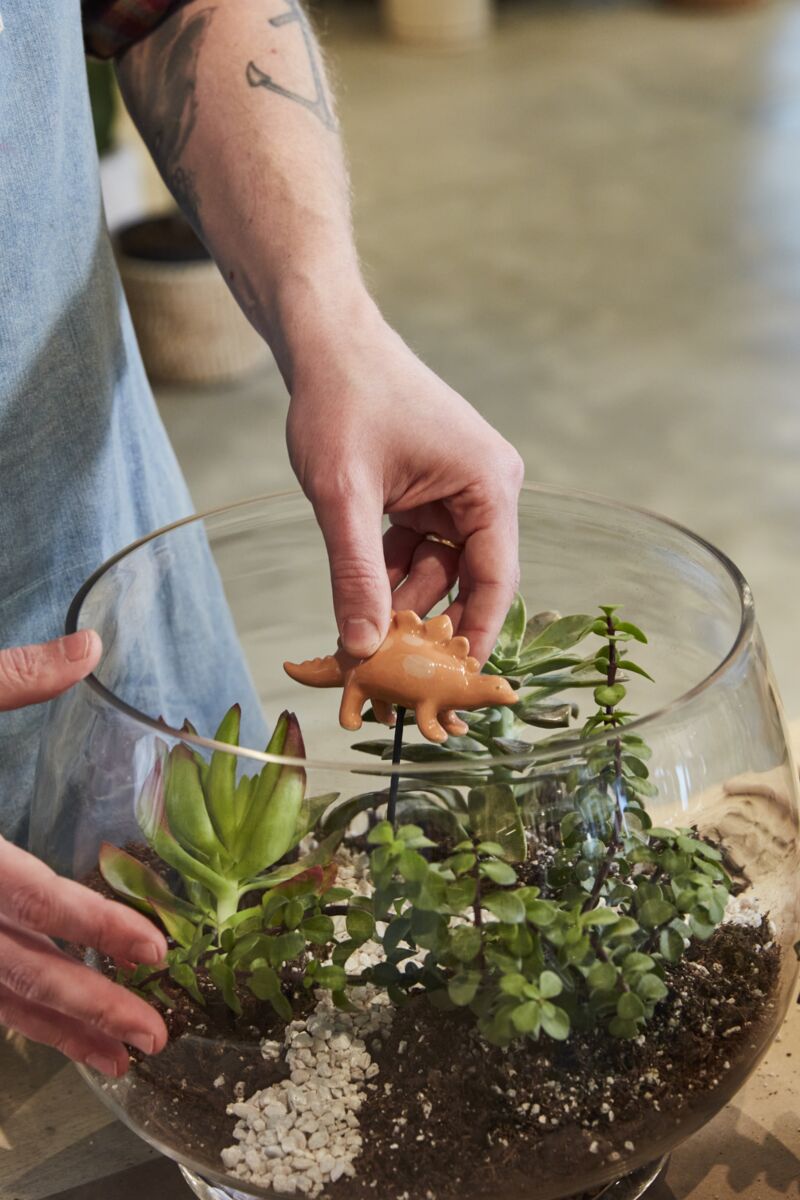 Dinosaur Friends Plant Sticks - Set of 2