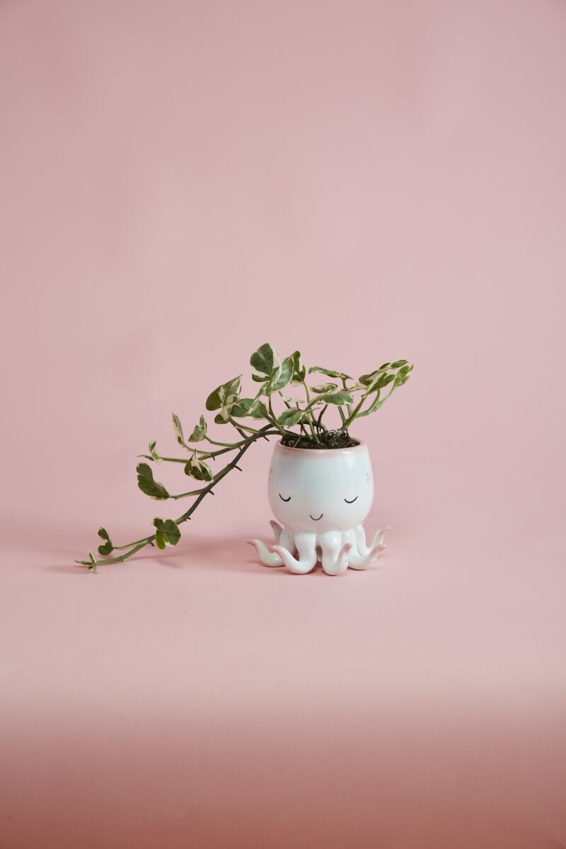 Open Arms Octopus Pot
