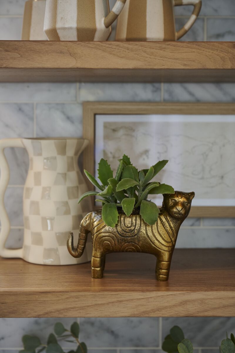 Tiger Curiosity Pot