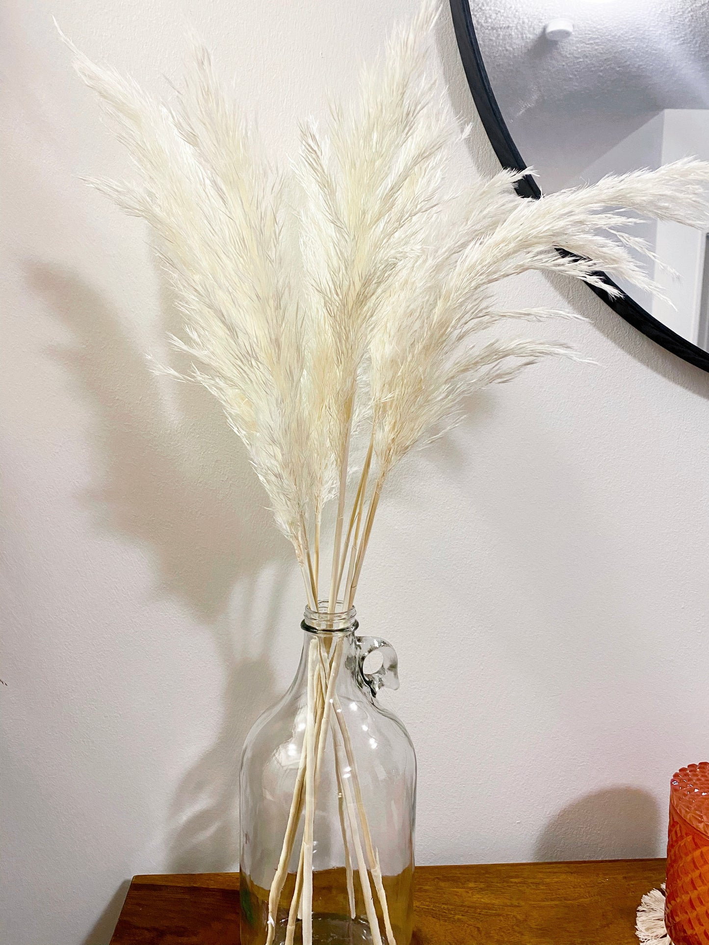 Small Pampas Grass