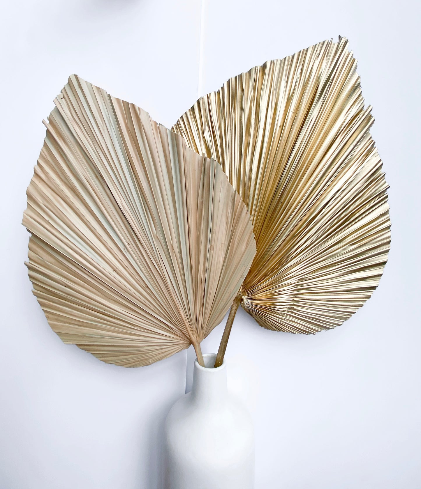 Dried Anahaw Leaves | Dried Palm Leaves