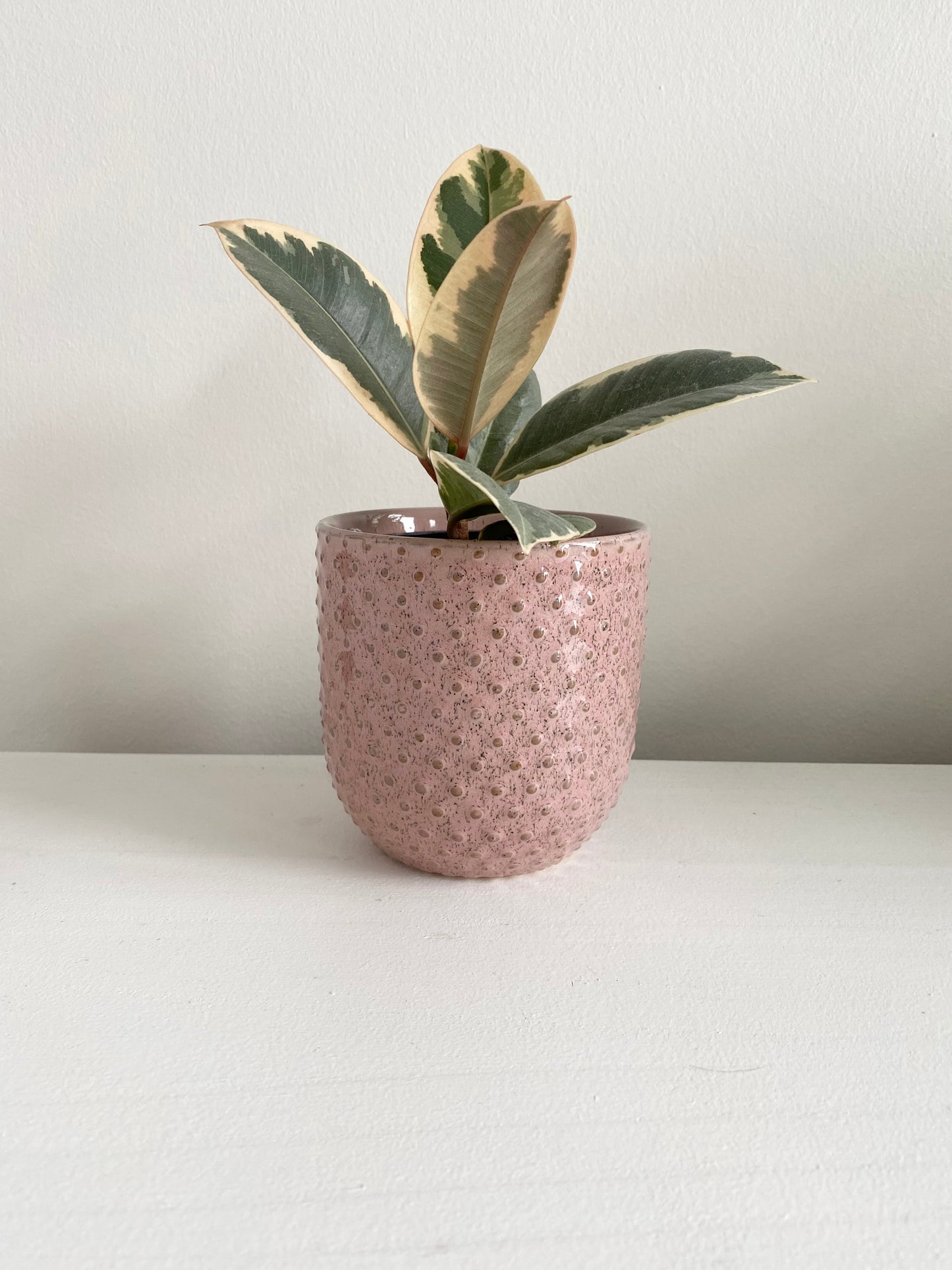 Everly Pot | Pink Textured Dots