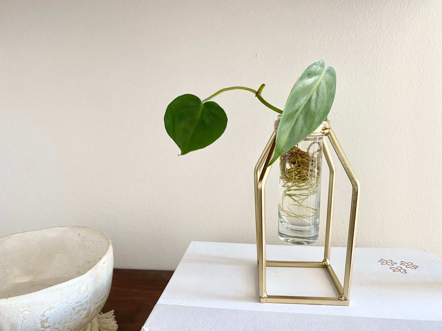 Propagation Vase | Glass Tube Bud Vase on Gold Rack