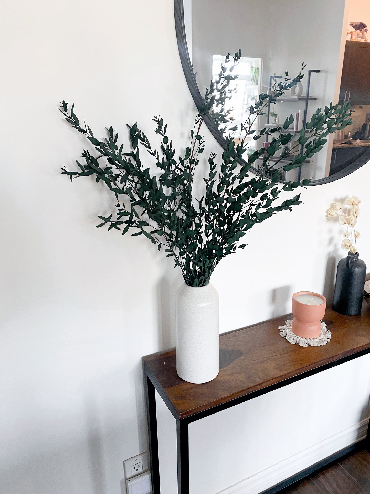 Preserved Eucalyptus Parvifolia