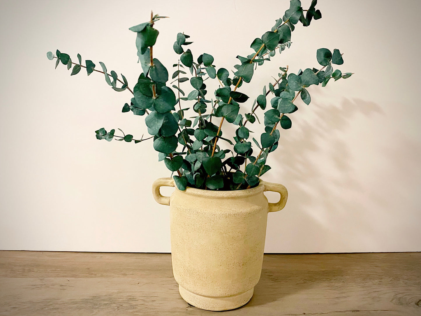 Revival Textured Clay Collection