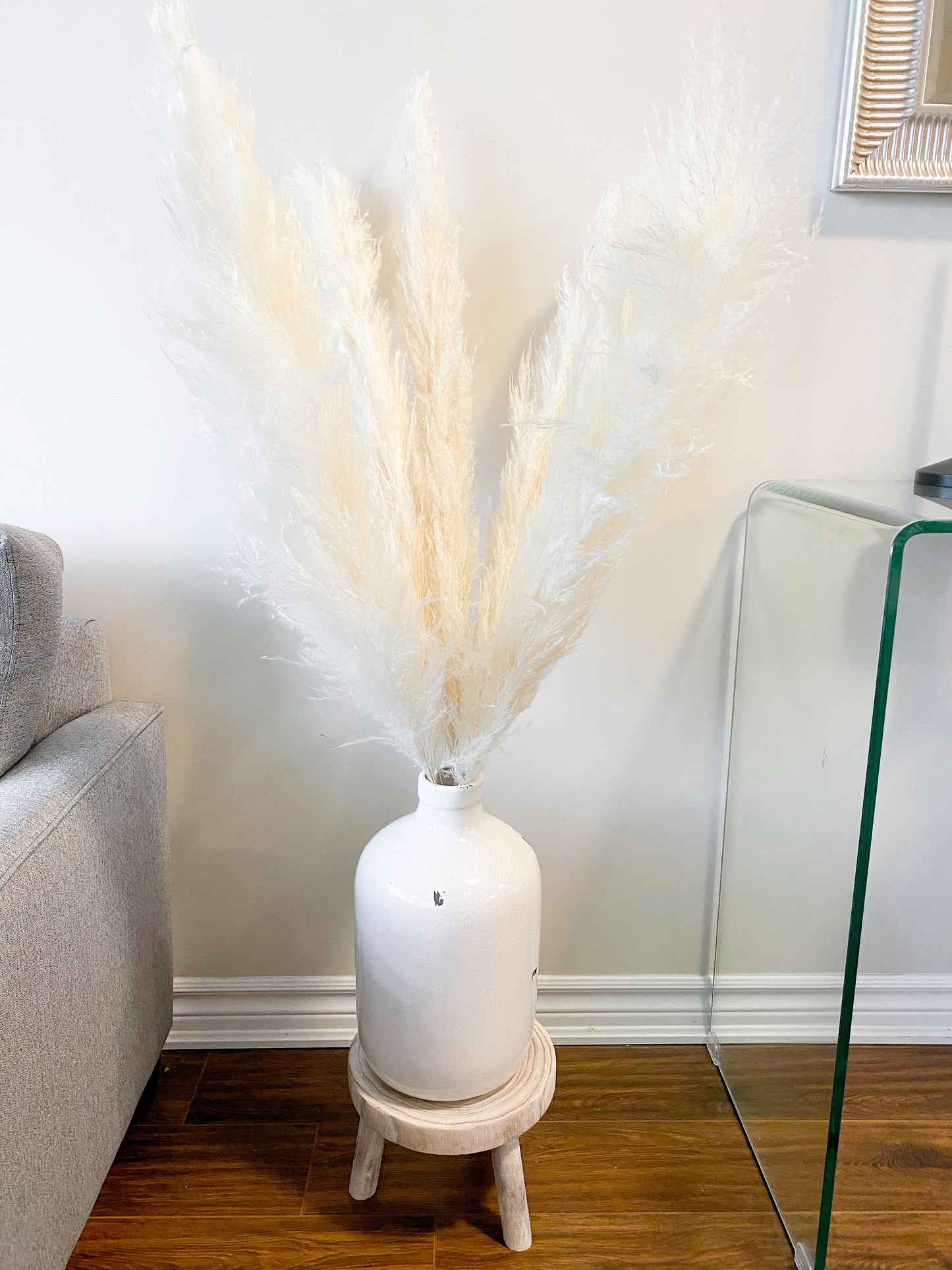 Pampas Grass