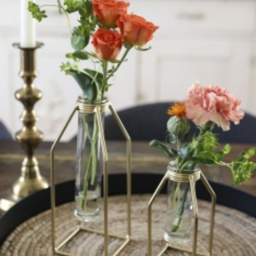 Propagation Vase | Glass Tube Bud Vase on Gold Rack