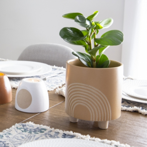 Rainbow Embossed Plant Pot