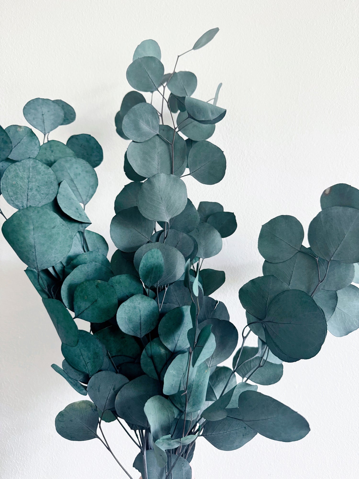 Winter Greens