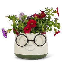 Load image into Gallery viewer, Cute Face with Glasses Planter | Concrete Pot
