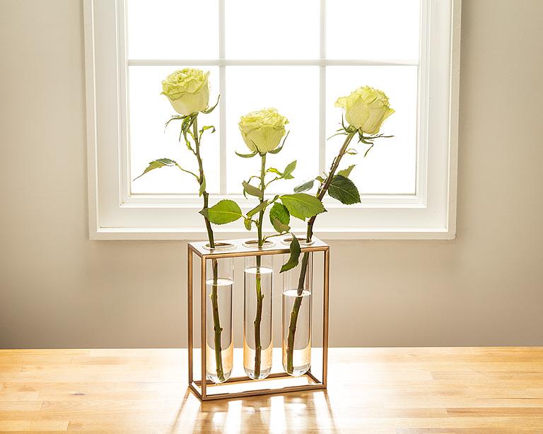 Tube Vase with Gold Rack | Large Propagation Station