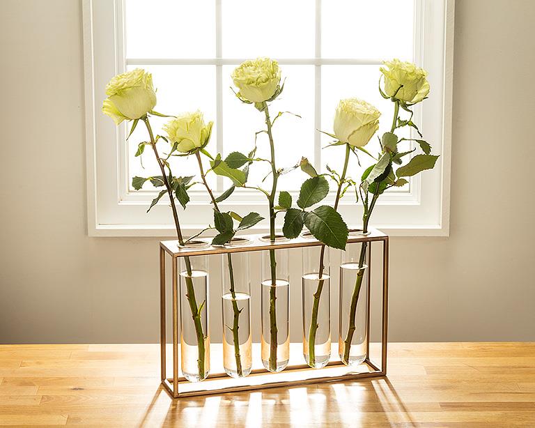 Tube Vase with Gold Rack | Large Propagation Station