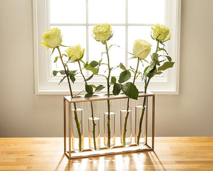 Tube Vase with Gold Rack | Large Propagation Station
