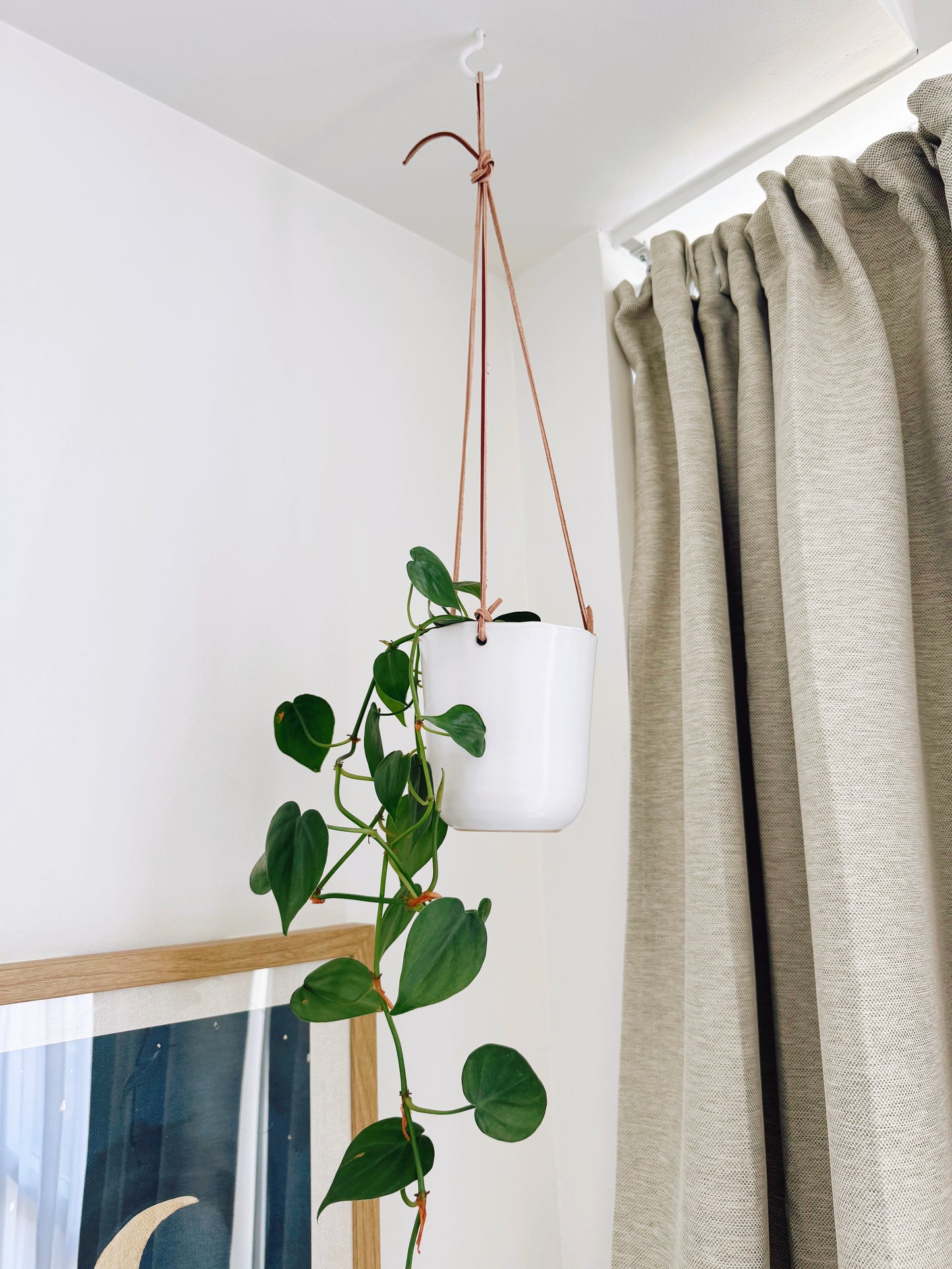Ceramic Hanging Planter