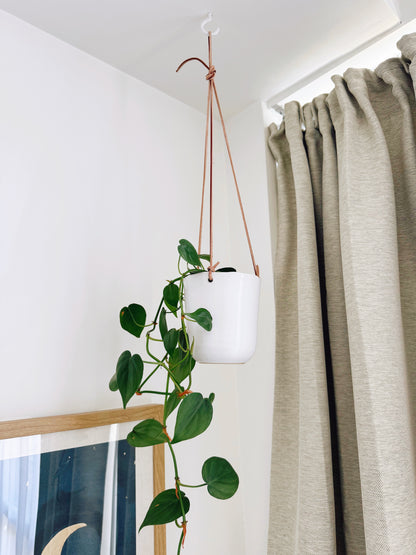 Ceramic Hanging Planter