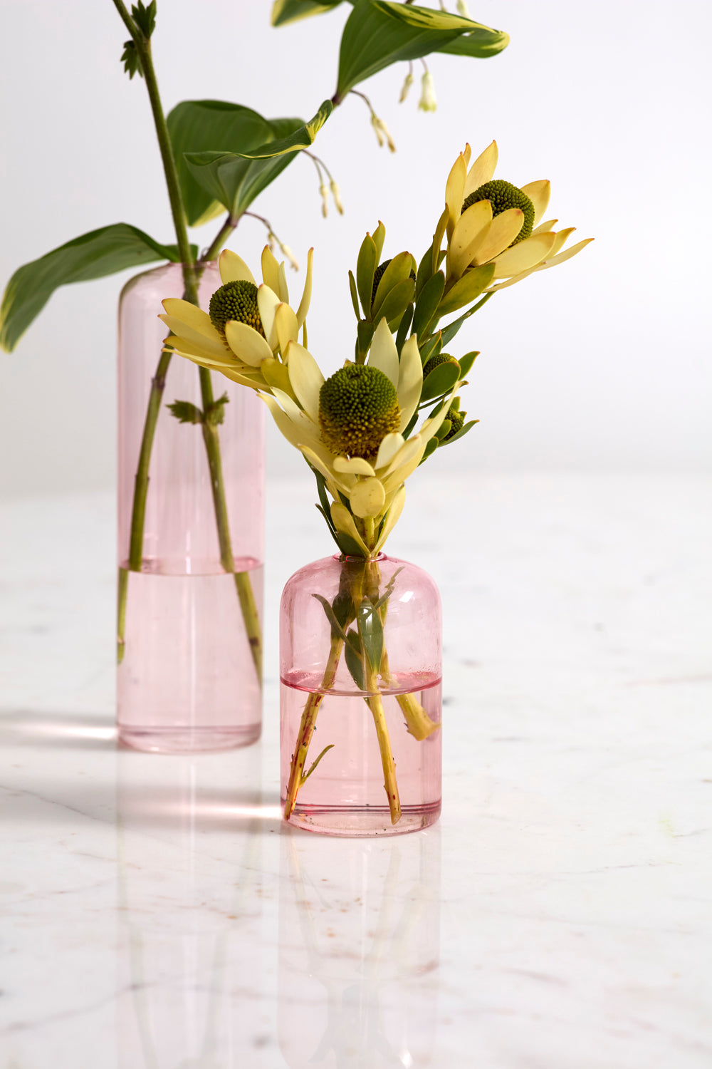 Highball Glass Bud Vases