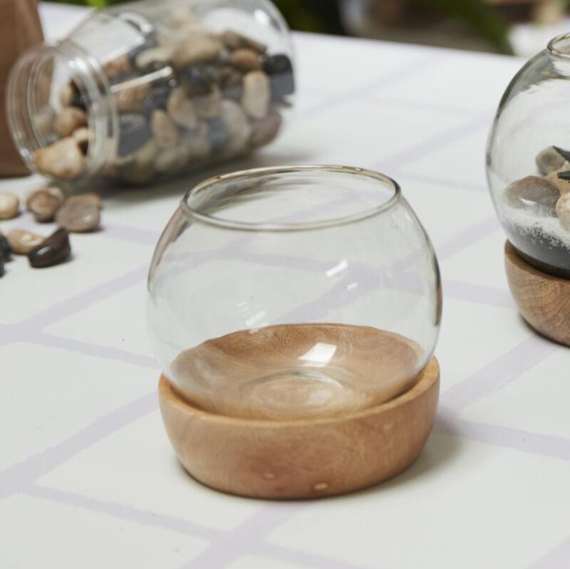 Full View Terrarium