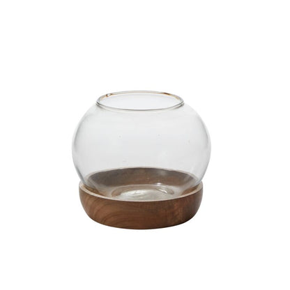 Full View Terrarium