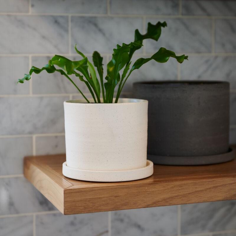 Easton Pot