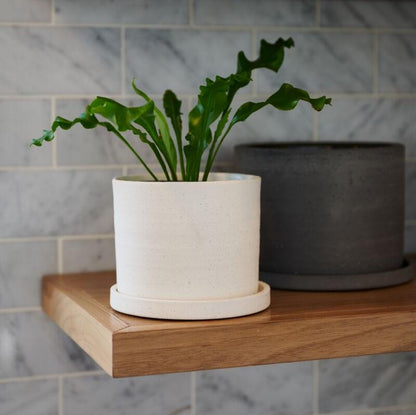 Easton Pot