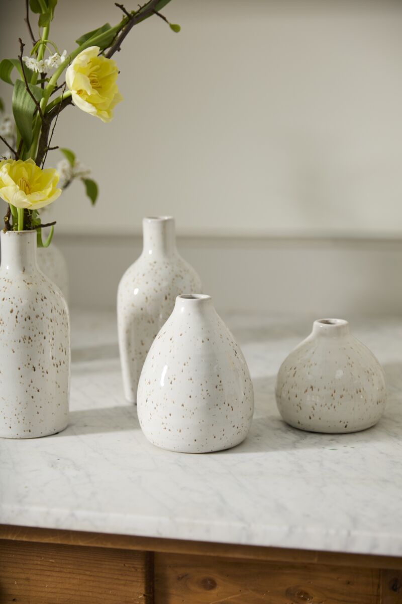 Francesca Budvase