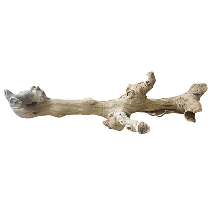Grapewood Branch