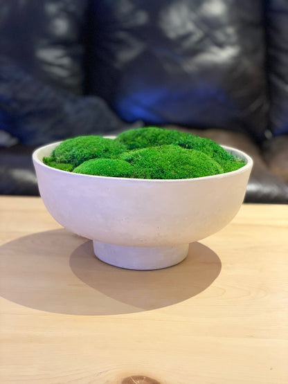 Moss Bowl