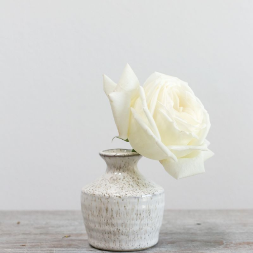 Vaso Bud Vase