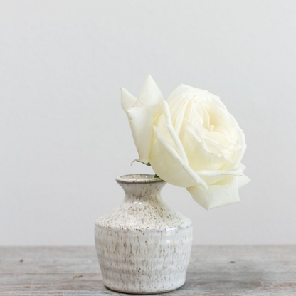 Vaso Bud Vase