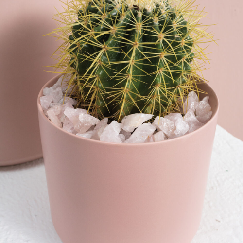 Rose Quartz Pebbles
