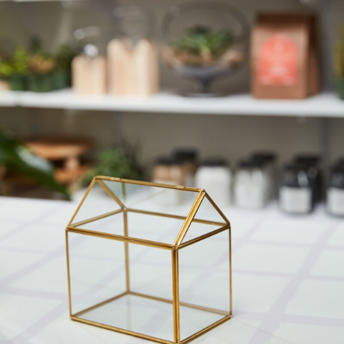 Hurley Terrarium