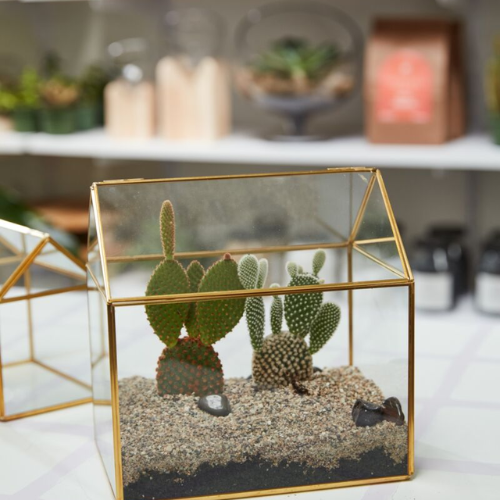 Hurley Terrarium